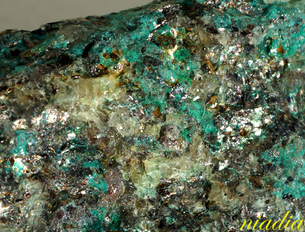 Компания кладоискателей. Болталка форума Минералов