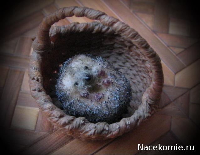 Penochka - Сочинение на вольную тему...