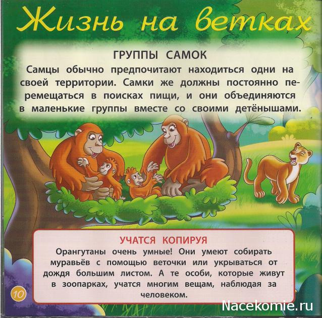 Животные Дикой Природы №28 - Шимпанзе Джиго