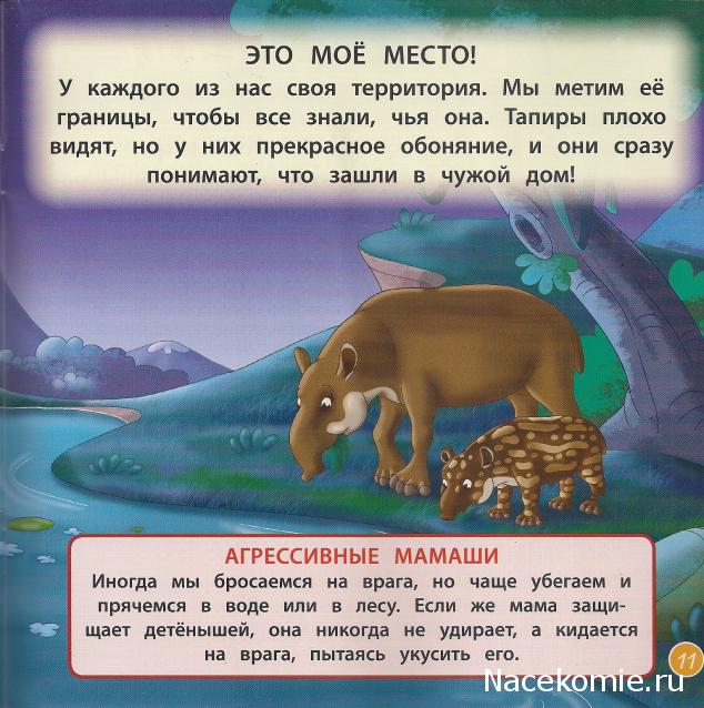 Животные Дикой Природы №31 - 5-ая часть палатки рейнджеров (крыша)
