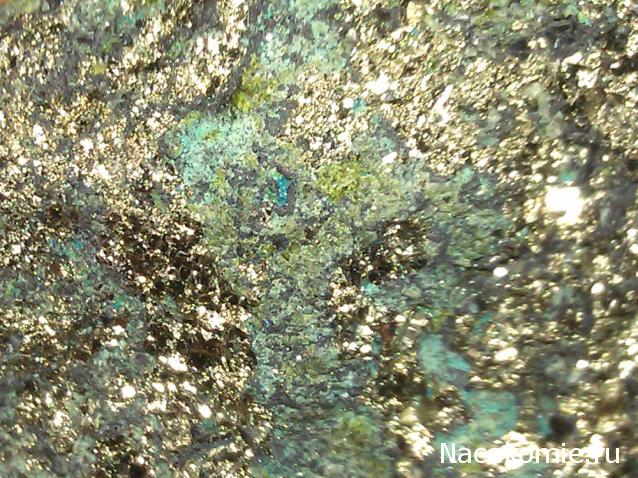 Компания кладоискателей. Болталка форума Минералов