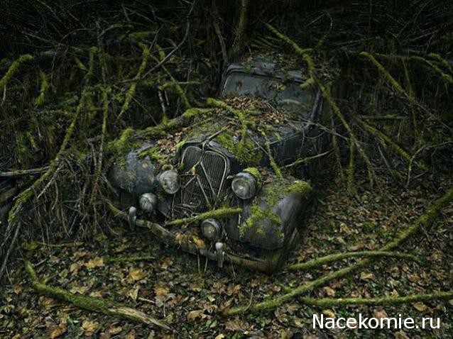 Болталка АЛ и АНС