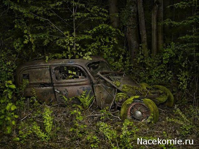 Болталка АЛ и АНС