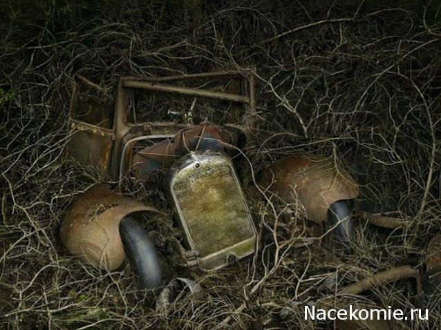 Болталка АЛ и АНС