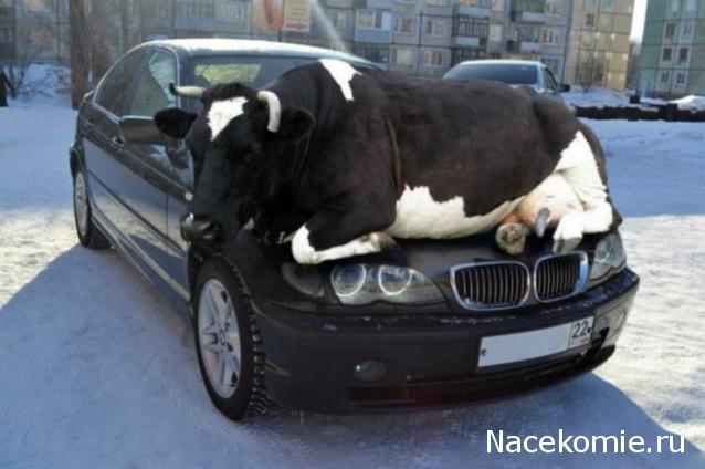 Болталка АЛ и АНС