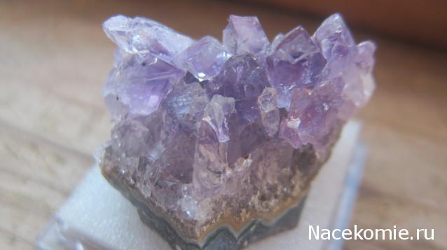Минералы Подземные Богатства №1 - Аметист