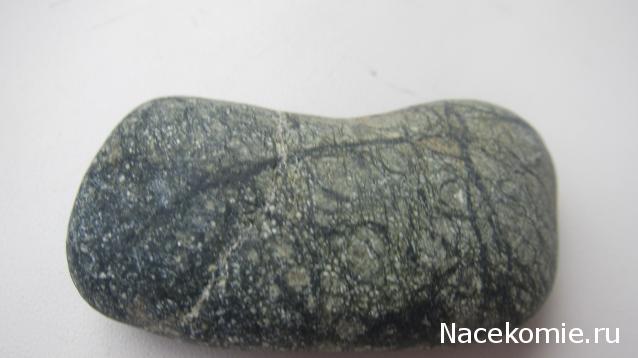 Компания кладоискателей. Болталка форума Минералов