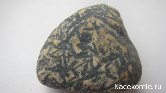 Компания кладоискателей. Болталка форума Минералов