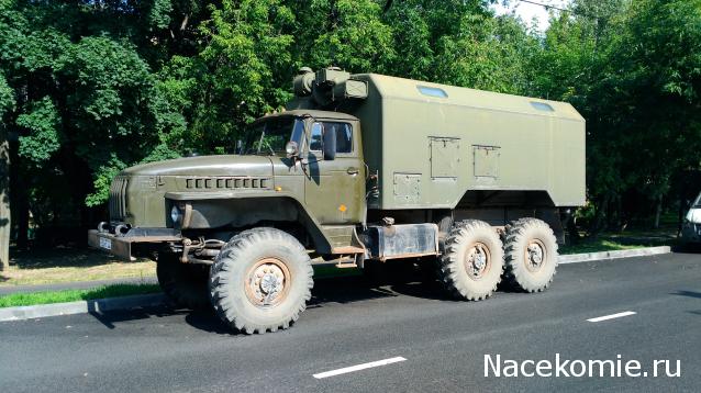 Автолегенды вживую