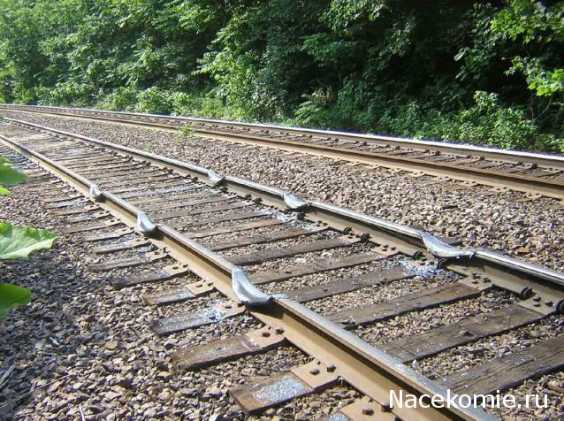 Радиорубка наших поездов: поздравления для всех тех, с кем нам по пути!