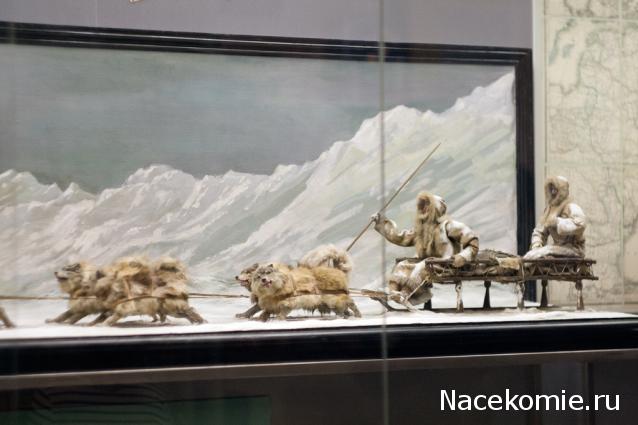 Болталка АЛ и АНС