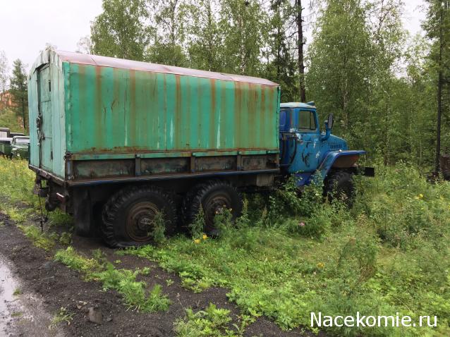 Автолегенды вживую