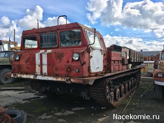 Автолегенды вживую