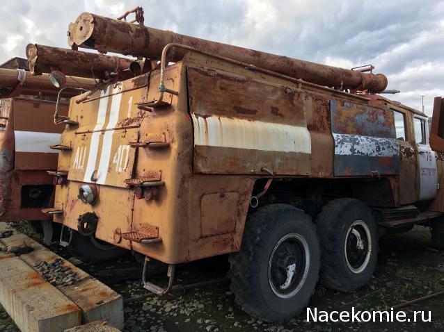 Автолегенды вживую