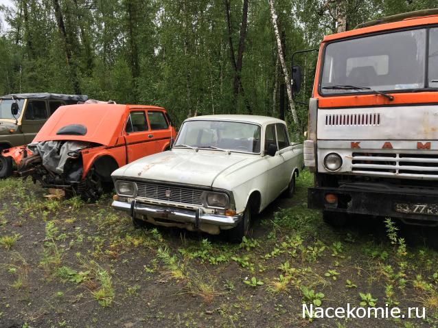 Автолегенды вживую