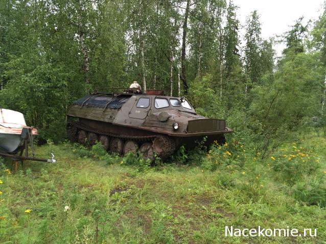 Автолегенды вживую