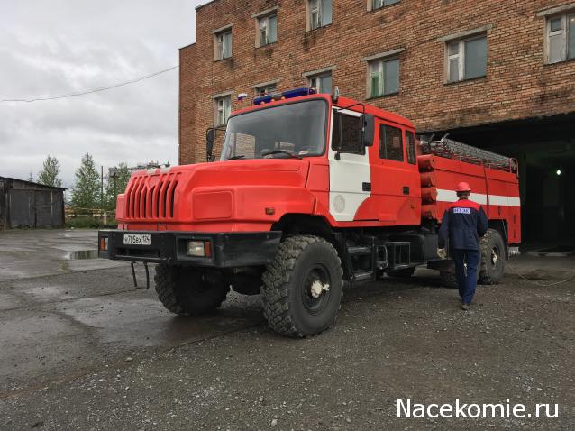 Автолегенды вживую