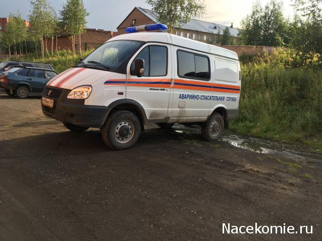 Автолегенды вживую