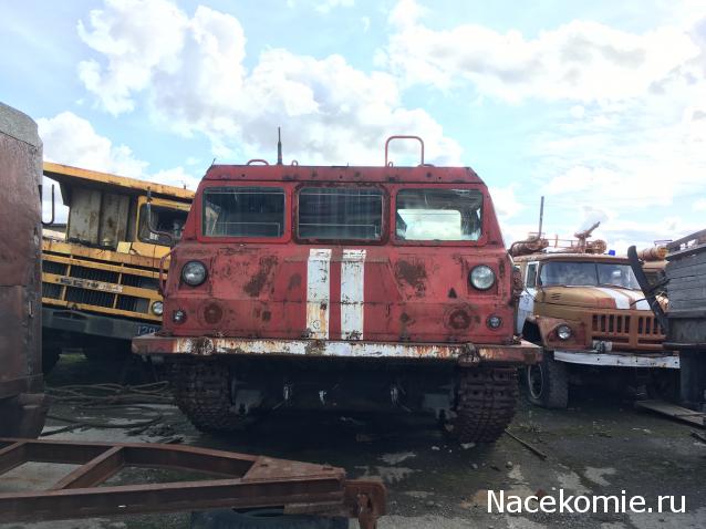 Автолегенды вживую