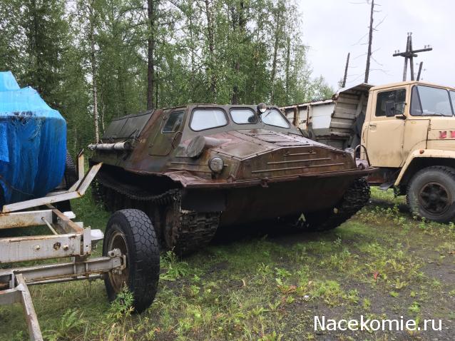 Автолегенды вживую