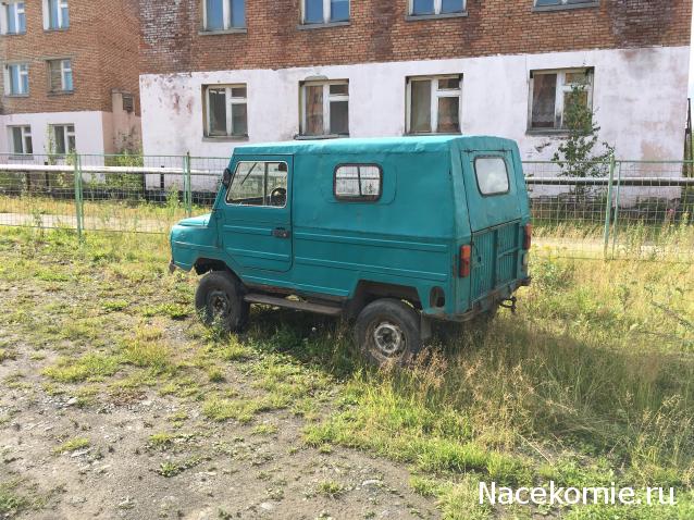 Автолегенды вживую