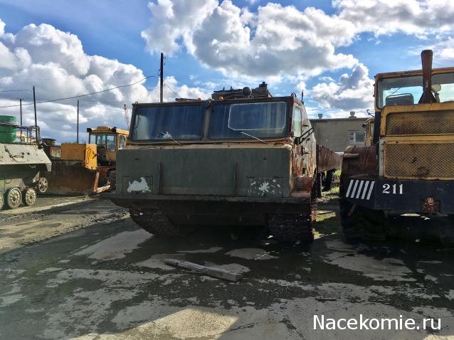 Автолегенды вживую