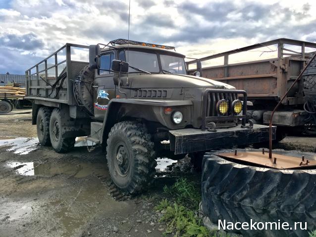 Автолегенды вживую