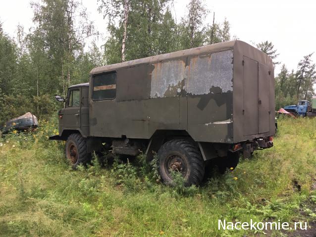 Автолегенды вживую