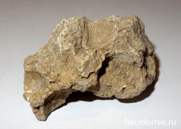 Компания кладоискателей. Болталка форума Минералов