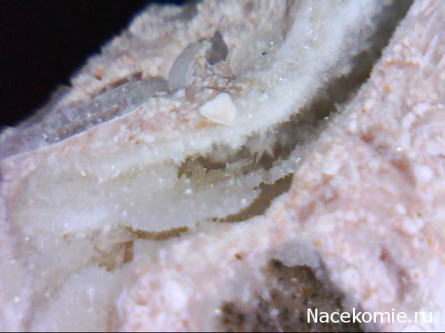 Компания кладоискателей. Болталка форума Минералов