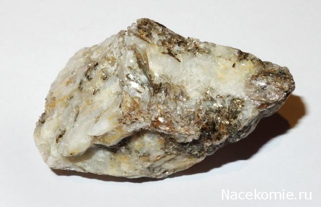 Компания кладоискателей. Болталка форума Минералов