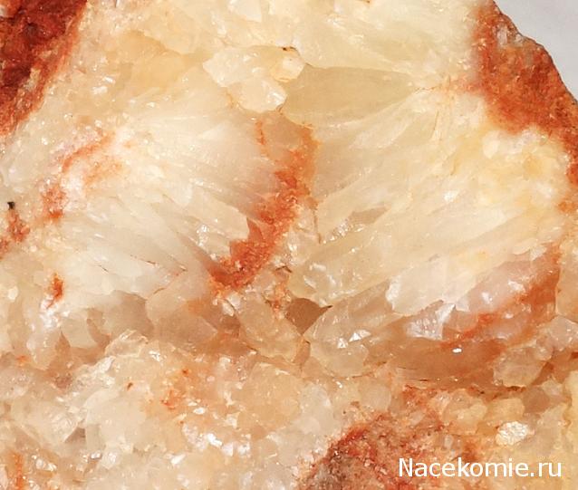 Компания кладоискателей. Болталка форума Минералов