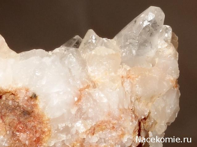 Компания кладоискателей. Болталка форума Минералов