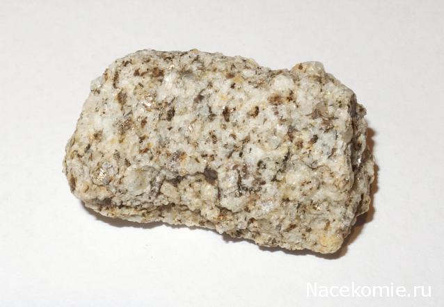 Компания кладоискателей. Болталка форума Минералов