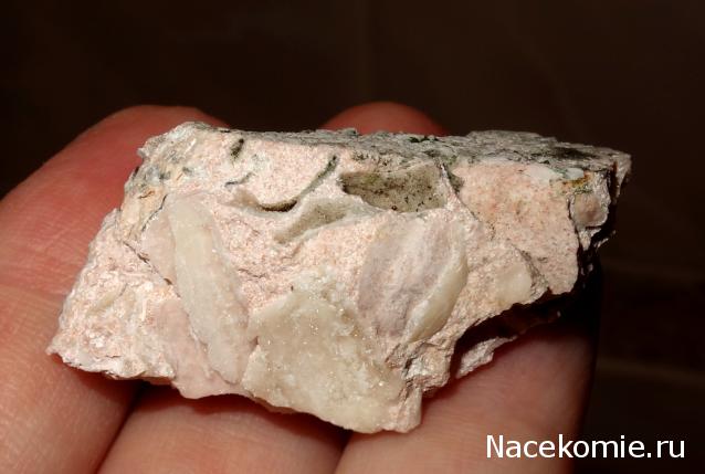 Компания кладоискателей. Болталка форума Минералов