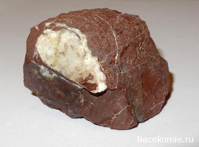 Компания кладоискателей. Болталка форума Минералов