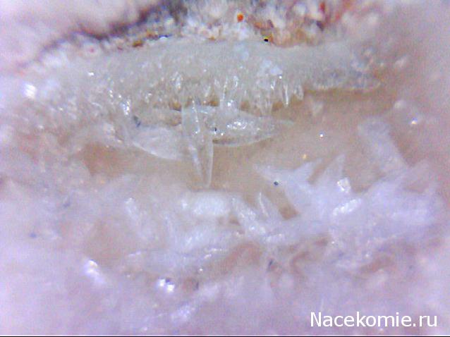 Компания кладоискателей. Болталка форума Минералов