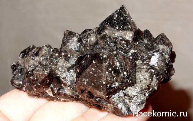 Компания кладоискателей. Болталка форума Минералов