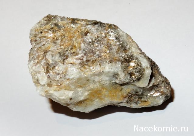 Компания кладоискателей. Болталка форума Минералов