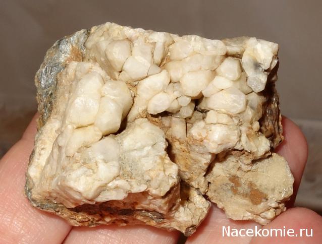 Компания кладоискателей. Болталка форума Минералов