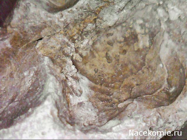 Компания кладоискателей. Болталка форума Минералов