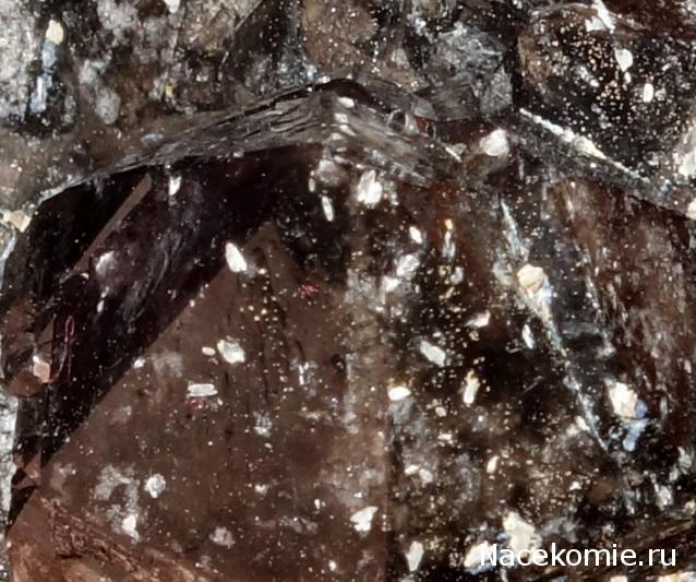 Компания кладоискателей. Болталка форума Минералов