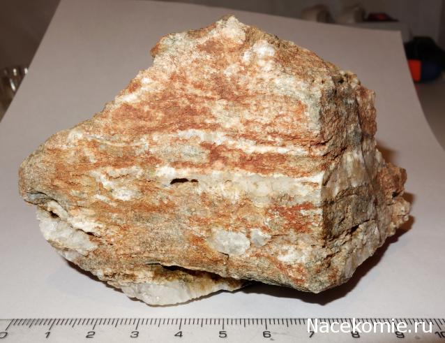 Компания кладоискателей. Болталка форума Минералов