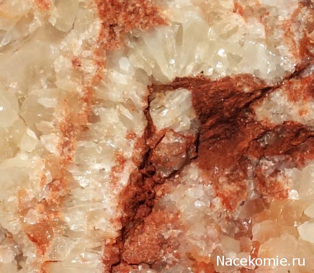 Компания кладоискателей. Болталка форума Минералов