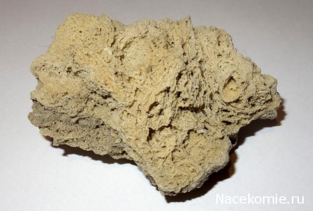 Компания кладоискателей. Болталка форума Минералов