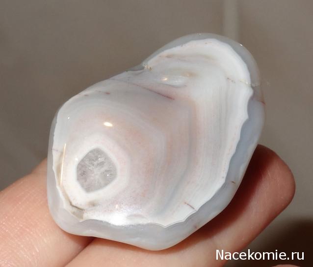 Компания кладоискателей. Болталка форума Минералов