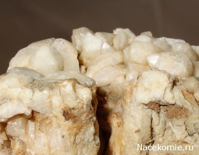 Компания кладоискателей. Болталка форума Минералов