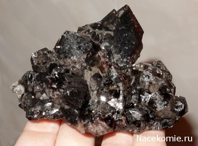 Компания кладоискателей. Болталка форума Минералов