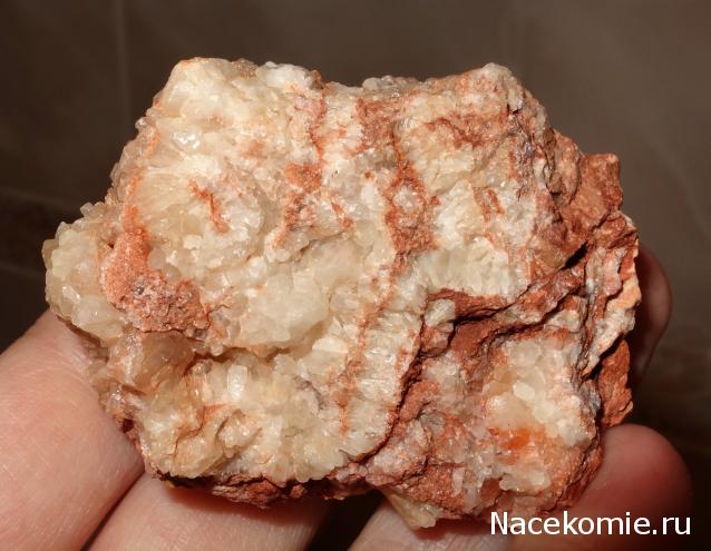 Компания кладоискателей. Болталка форума Минералов