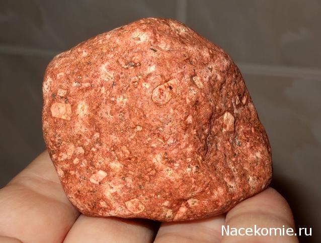 Компания кладоискателей. Болталка форума Минералов